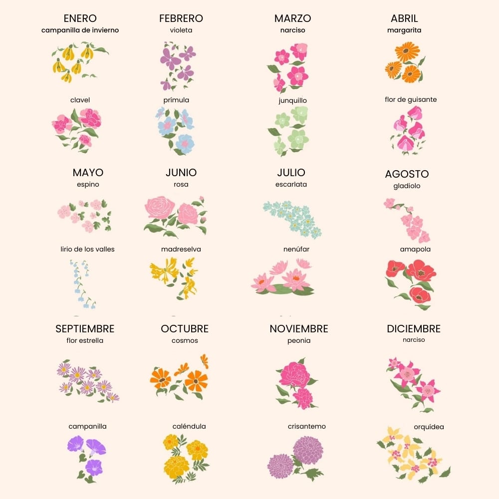 Flores de Nacimiento de la Familia – Ilustración Personalizada