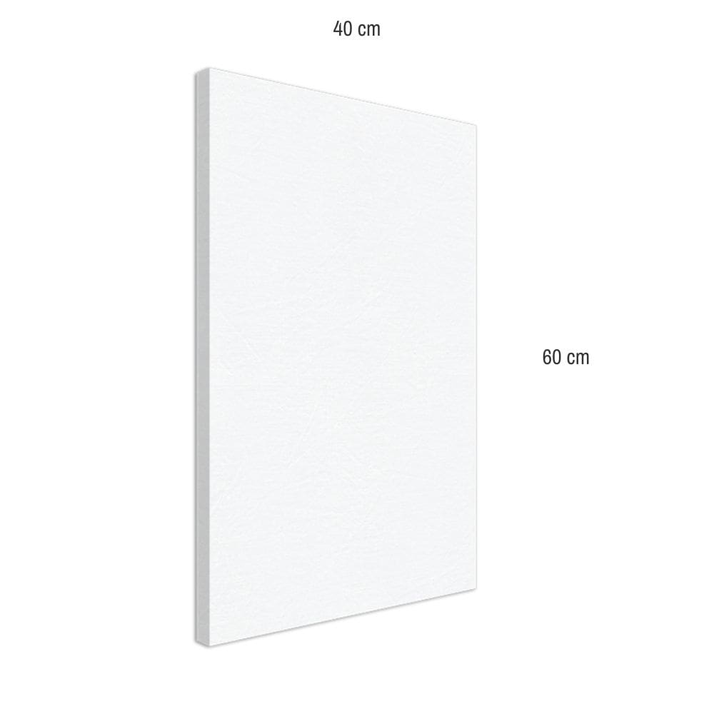 Lienzo (40x60 cm)