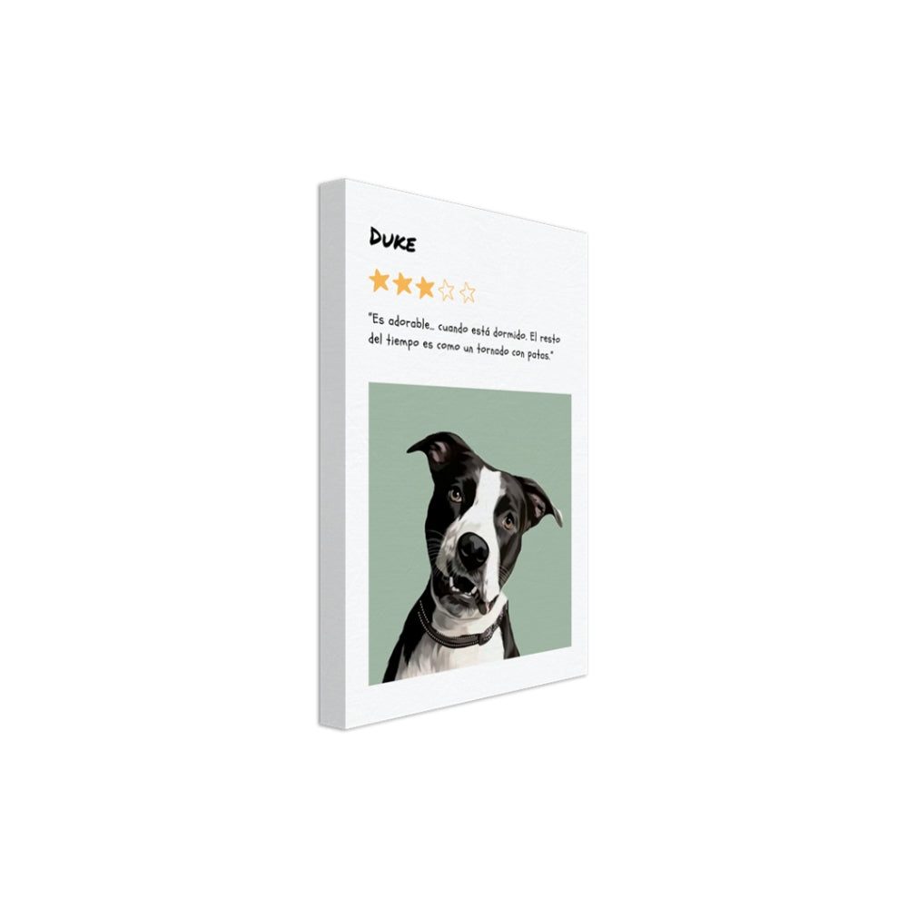 Retrato de mascota personalizado formato reseña