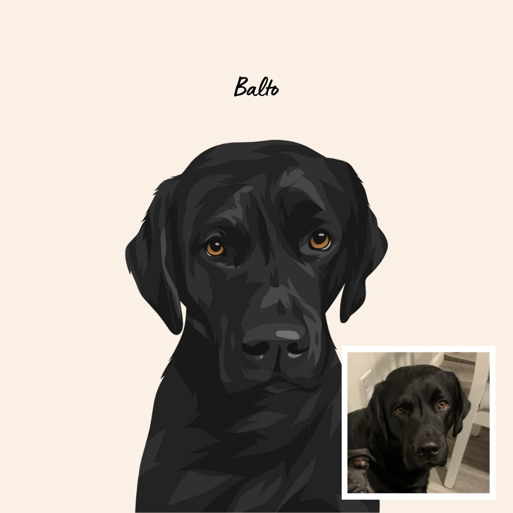 Custom Dog Drawing - Portrait of Your Furry One 